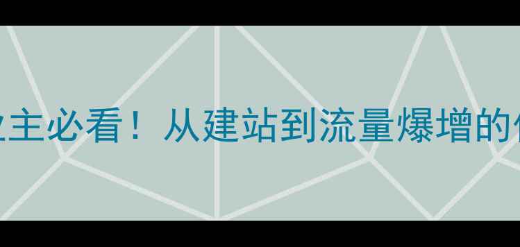 图片 🌟保山企业主必看！从建站到流量爆增的保姆级指南