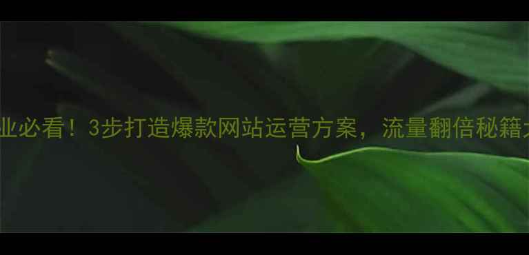 图片 🌟合肥企业必看！3步打造爆款网站运营方案，流量翻倍秘籍大公开🌟2