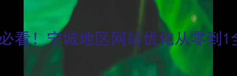 图片 🌟新手必看！宁城地区网站优化从零到1全攻略1