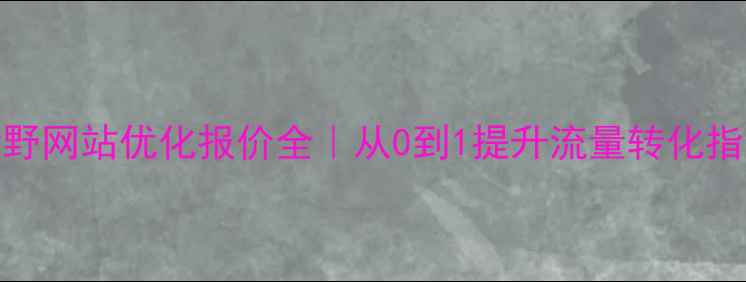 图片 🌟新野网站优化报价全｜从0到1提升流量转化指南🌟