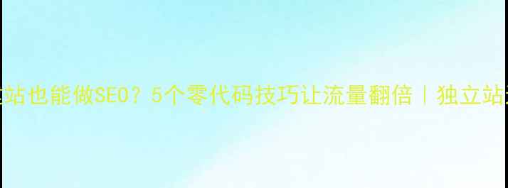 图片 🌟无CMS建站也能做SEO？5个零代码技巧让流量翻倍｜独立站运营干货2
