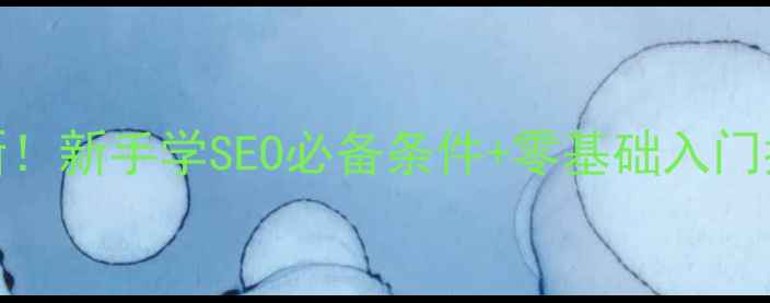 图片 🌟最新！新手学SEO必备条件+零基础入门指南✅