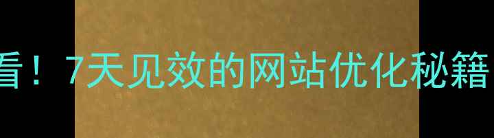 图片 🌟海口企业主必看！7天见效的网站优化秘籍（附本地案例）1