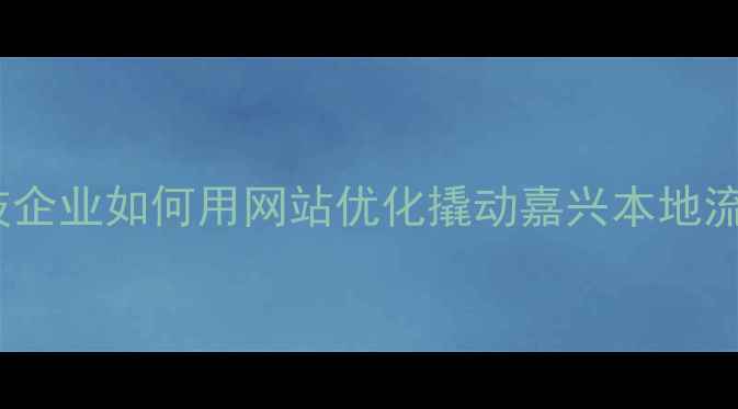 图片 🌟科技企业如何用网站优化撬动嘉兴本地流量？1