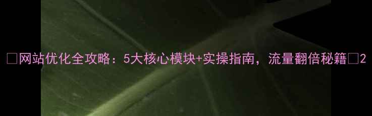 图片 🌟网站优化全攻略：5大核心模块+实操指南，流量翻倍秘籍🌟2