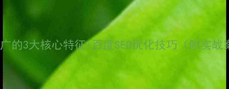 图片 🌟网络推广的3大核心特征+百度SEO优化技巧（附实战案例）🌟2