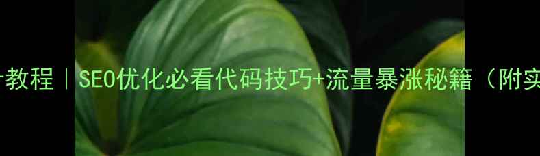 图片 🌟网页设计教程｜SEO优化必看代码技巧+流量暴涨秘籍（附实战案例）2