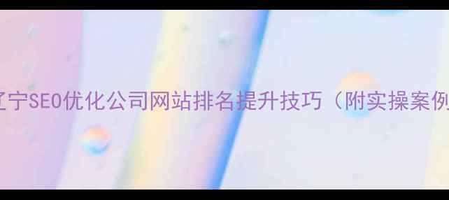 图片 🌟辽宁SEO优化公司网站排名提升技巧（附实操案例）1