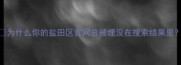 图片 💡为什么你的盐田区官网总被埋没在搜索结果里？