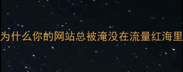 图片 💡为什么你的网站总被淹没在流量红海里？