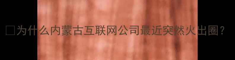 图片 💡为什么内蒙古互联网公司最近突然火出圈？