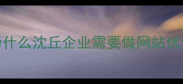 图片 💡为什么沈丘企业需要做网站优化？