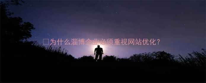 图片 💡为什么淄博企业必须重视网站优化？