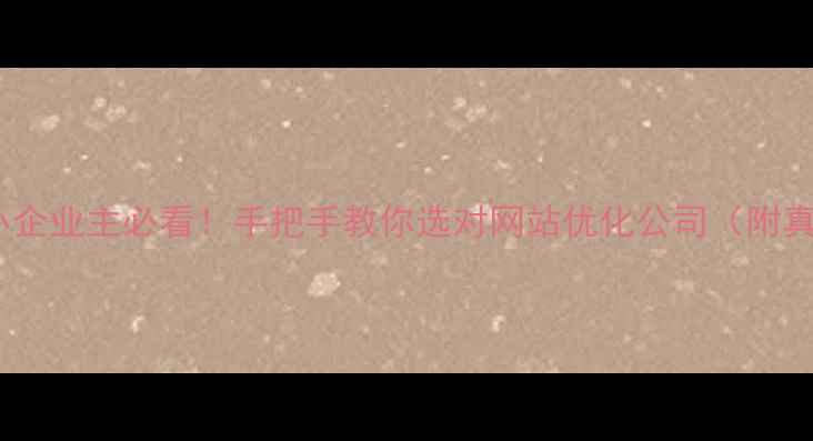 图片 💡和田中小企业主必看！手把手教你选对网站优化公司（附真实案例）2