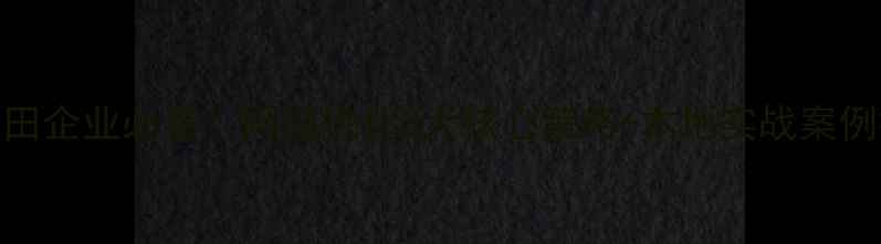 图片 💡坂田企业必看！网站优化3大核心策略+本地实战案例拆解