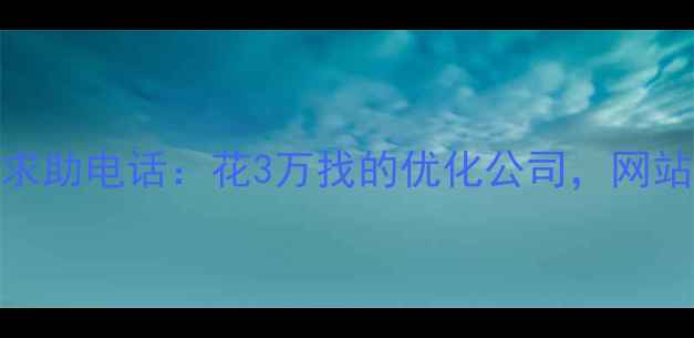 图片 💡姐妹们！刚接到表妹的求助电话：花3万找的优化公司，网站排名反而掉到第10页了！