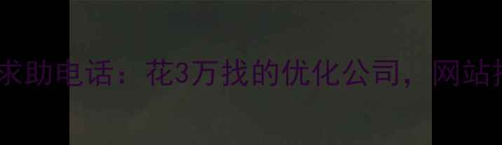 图片 💡姐妹们！刚接到表妹的求助电话：花3万找的优化公司，网站排名反而掉到第10页了！1