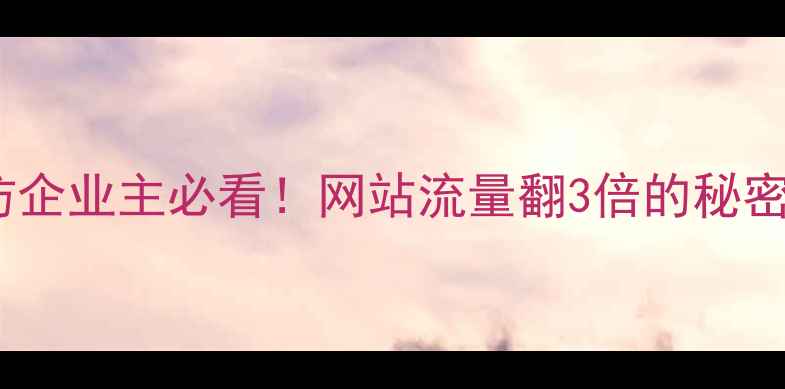图片 💡廊坊企业主必看！网站流量翻3倍的秘密武器2