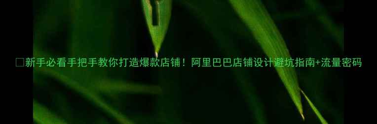 图片 💡新手必看手把手教你打造爆款店铺！阿里巴巴店铺设计避坑指南+流量密码