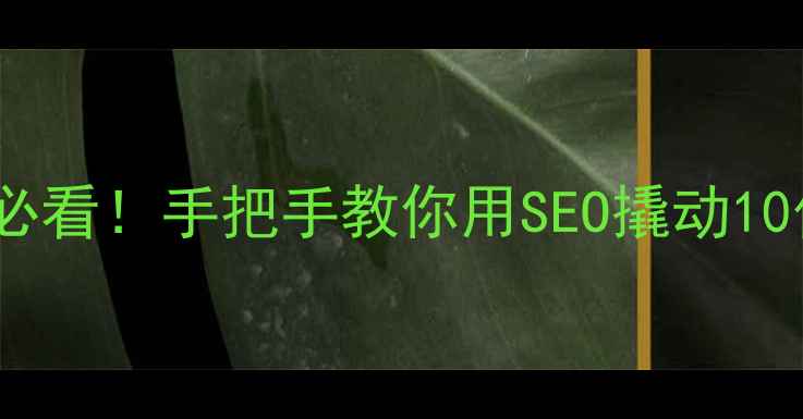 图片 💡邯郸企业主必看！手把手教你用SEO撬动10倍流量增长💡2