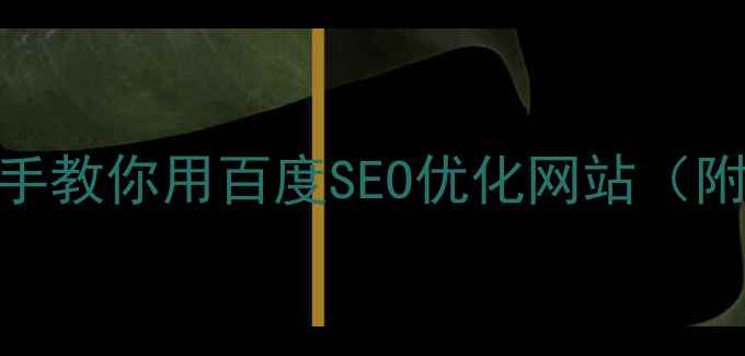 图片 💥流量暴涨秘籍｜手把手教你用百度SEO优化网站（附免费工具+避坑指南）1