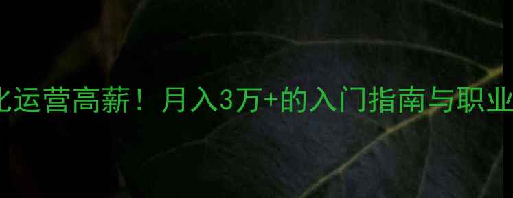图片 💼网站优化运营高薪！月入3万+的入门指南与职业发展路径2