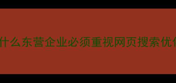 图片 📌为什么东营企业必须重视网页搜索优化？1