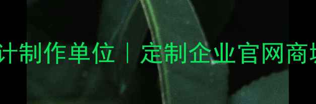 图片 📌乳山专业网页设计制作单位｜定制企业官网商城｜SEO优化服务全