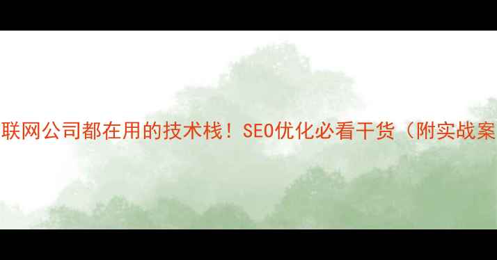 图片 📌互联网公司都在用的技术栈！SEO优化必看干货（附实战案例）