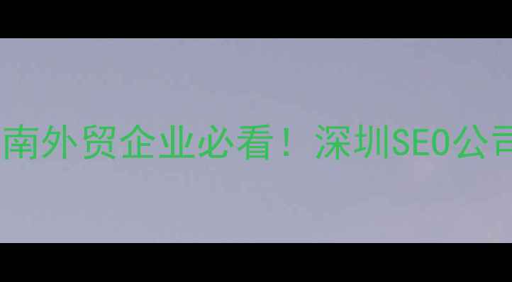 图片 📌深圳外贸网站优化最新指南外贸企业必看！深圳SEO公司排名+避坑攻略+实操案例2