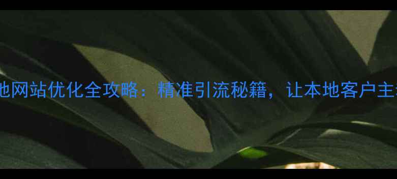 图片 📌湖北本地网站优化全攻略：精准引流秘籍，让本地客户主动上门！2