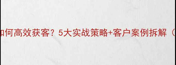 图片 📌网站优化如何高效获客？5大实战策略+客户案例拆解（附资源包）1