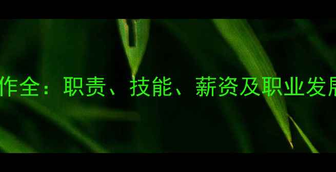 图片 📌网站优化工程师工作全：职责、技能、薪资及职业发展路径（附JD模板）2