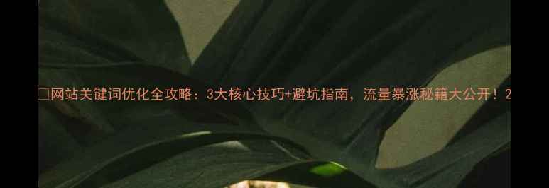 图片 📌网站关键词优化全攻略：3大核心技巧+避坑指南，流量暴涨秘籍大公开！2