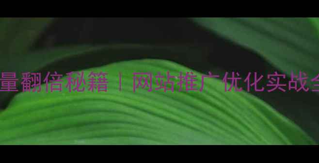 图片 🔥3大爆款案例+流量翻倍秘籍｜网站推广优化实战全（附数据对比）2