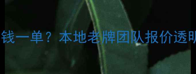 图片 🔥丹灶网站优化多少钱一单？本地老牌团队报价透明，附最新价格表🔥2