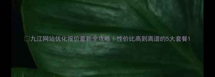图片 🔥九江网站优化报价最新全攻略｜性价比高到离谱的5大套餐1