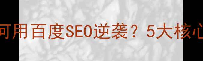 图片 🔥传统行业网站如何用百度SEO逆袭？5大核心技巧+避坑指南🔥2