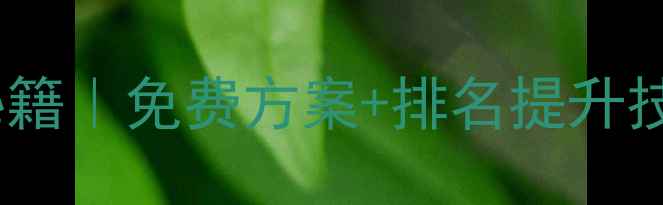 图片 🔥佛山顺德网站优化秘籍｜免费方案+排名提升技巧，流量翻倍攻略！1