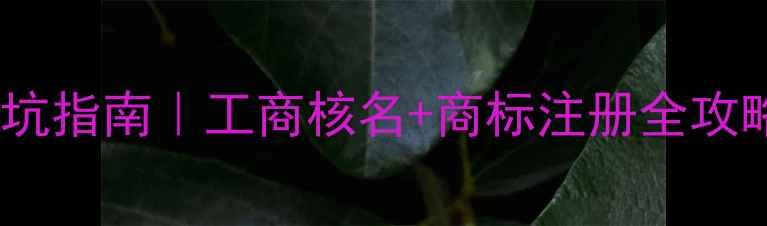 图片 🔥公司英文名备案避坑指南｜工商核名+商标注册全攻略（附免费工具包）1