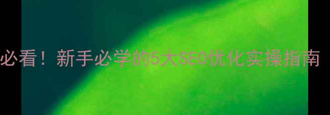 图片 🔥刚上线的网站必看！新手必学的5大SEO优化实操指南（附避坑清单）2