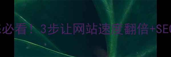图片 🔥动态转静态必看！3步让网站速度翻倍+SEO权重飙升🔥2