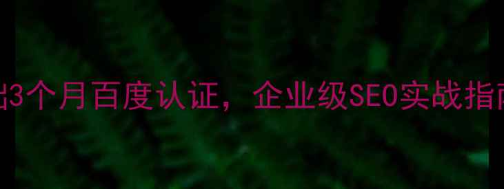 图片 🔥南宁SEO培训零基础3个月百度认证，企业级SEO实战指南（附免费资料包）2