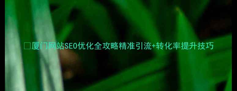 图片 🔥厦门网站SEO优化全攻略精准引流+转化率提升技巧