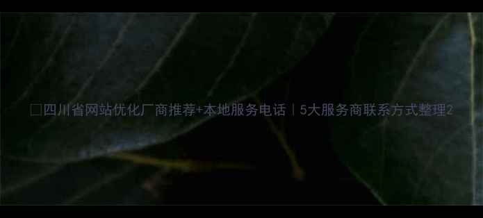 图片 🔥四川省网站优化厂商推荐+本地服务电话｜5大服务商联系方式整理2