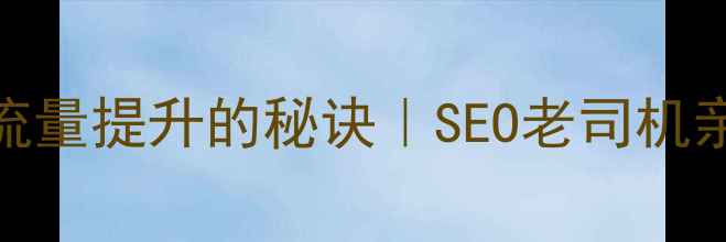 图片 🔥域名选择与网站流量提升的秘诀｜SEO老司机亲测有效的5大法则1