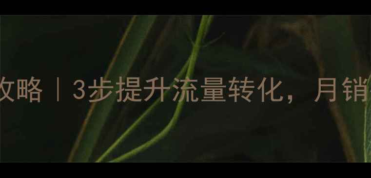 图片 🔥天猫店铺SEO优化全攻略｜3步提升流量转化，月销破10W的秘诀大公开！2