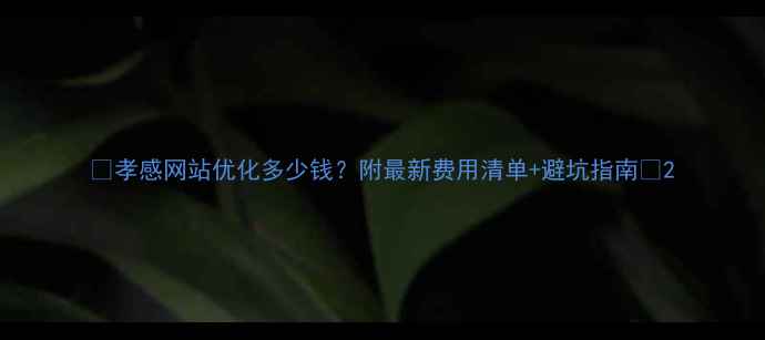 图片 🔥孝感网站优化多少钱？附最新费用清单+避坑指南🔥2