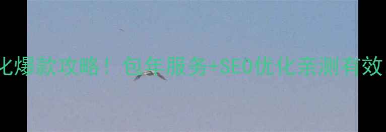 图片 🔥宿州萧县网站优化爆款攻略！包年服务+SEO优化亲测有效，3个月流量翻倍💥