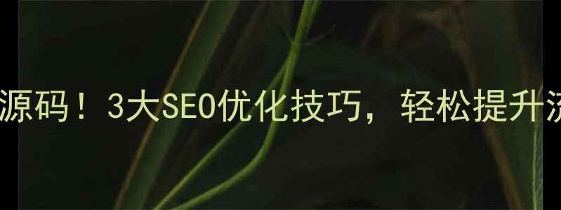 图片 🔥微信网页源码！3大SEO优化技巧，轻松提升流量曝光量2